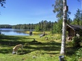 Rantamaisemaa
