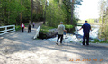 Tampinkosken sillalla.