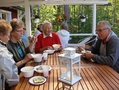 Pirkko Ahonen, Eila Tuovinen, Elli Tenkanen ja Ahti Laamanen.
